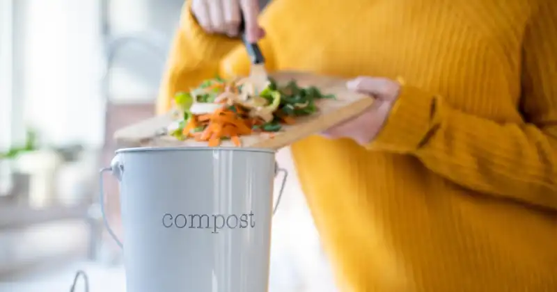 how often to add compost to vegetable garden
