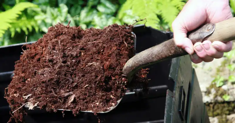 how to add compost to a vegetable garden