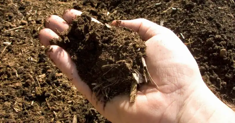 how to improve waterlogged soil