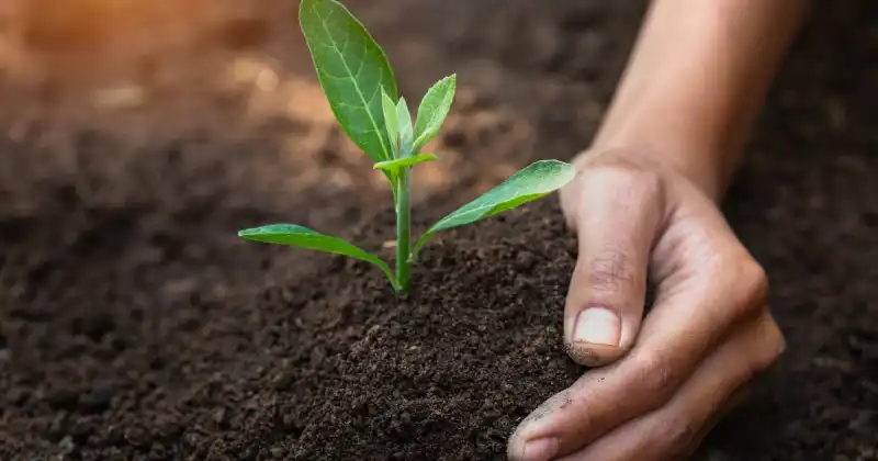 how to make your garden soil drain better