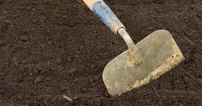 best soil amendments for vegetable garden