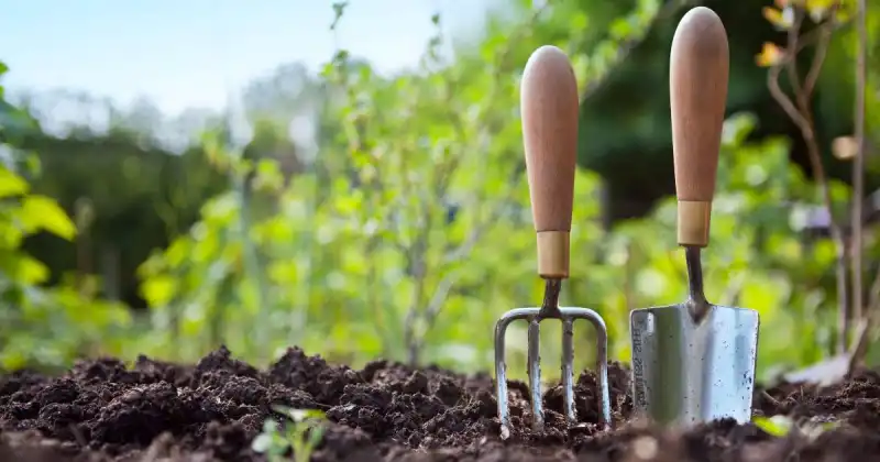 small wood and metal garden tools embedded in dirt in garden