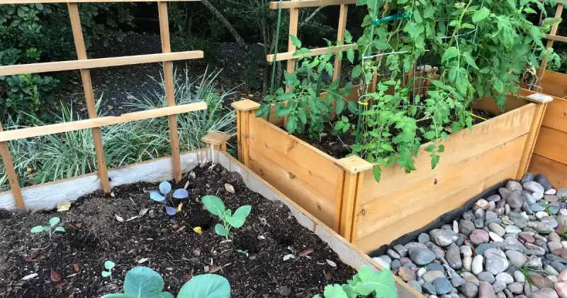 how to maximize garden space
