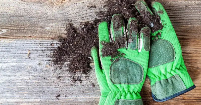 green garden gloves covered in soil on wooden plank