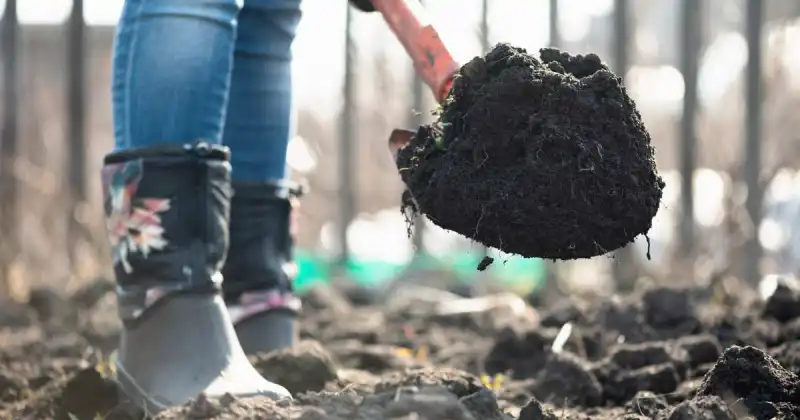 how to prepare soil for gardening