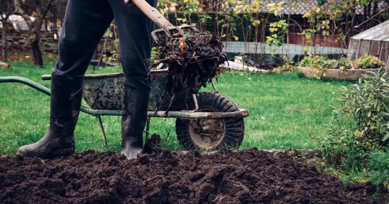 how to prepare soil for planting flowers