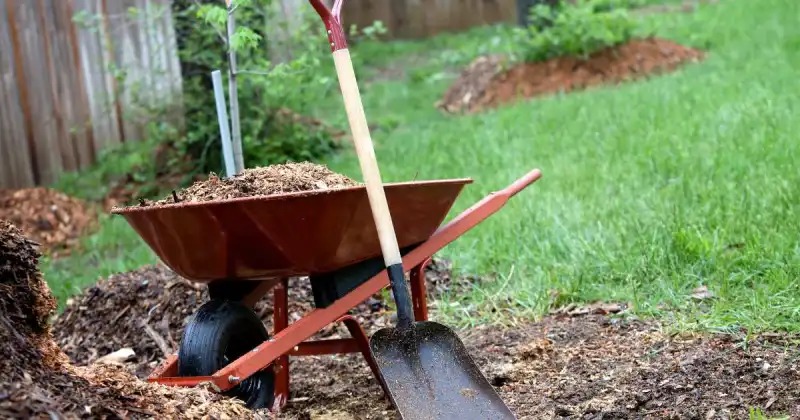 how to prepare soil for planting vegetables