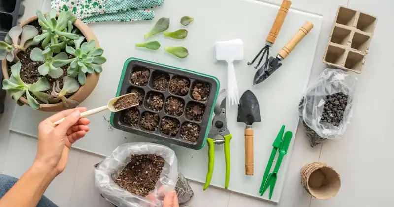 gardener sowing seeds in small tray indoors surrounded by garden tools