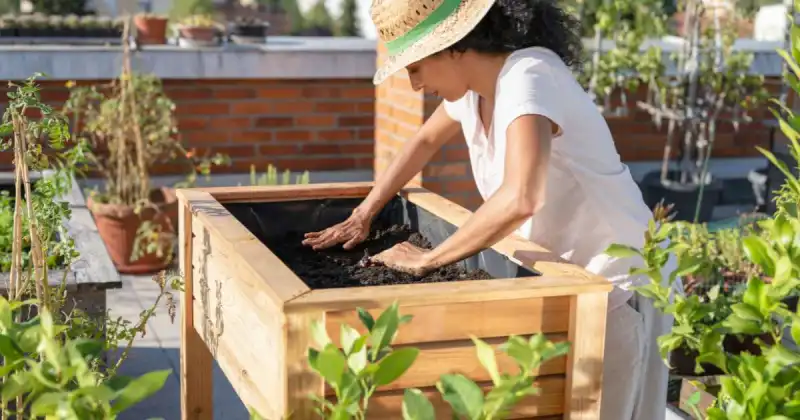 intensive vegetable gardening in small spaces