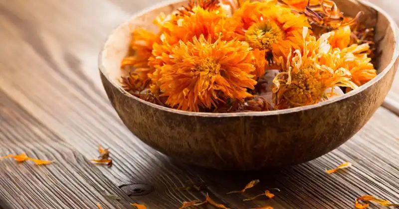 are marigold flowers edible