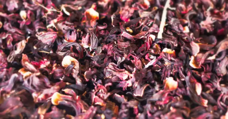 candied hibiscus flower recipe