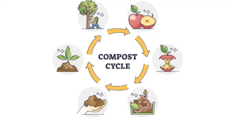 compost molding process