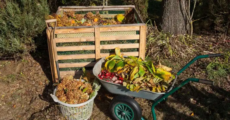 green wheelbarrow full of yard waste next to wooden compost bin outside in sun