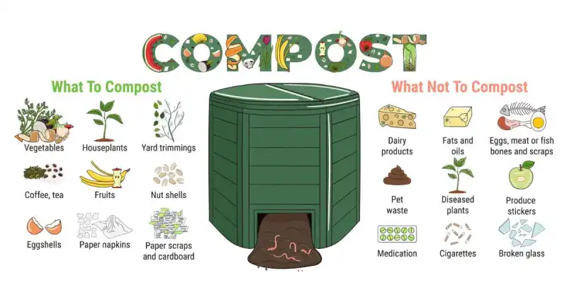 is compost mold dangerous