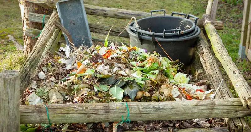 what not to put in compost