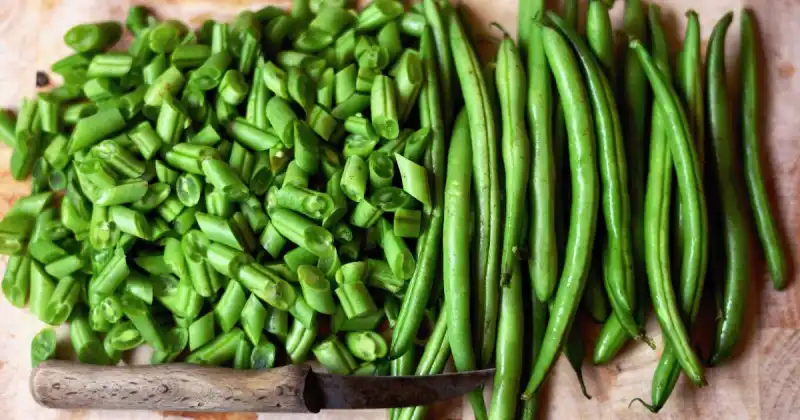 companion planting peas and beans