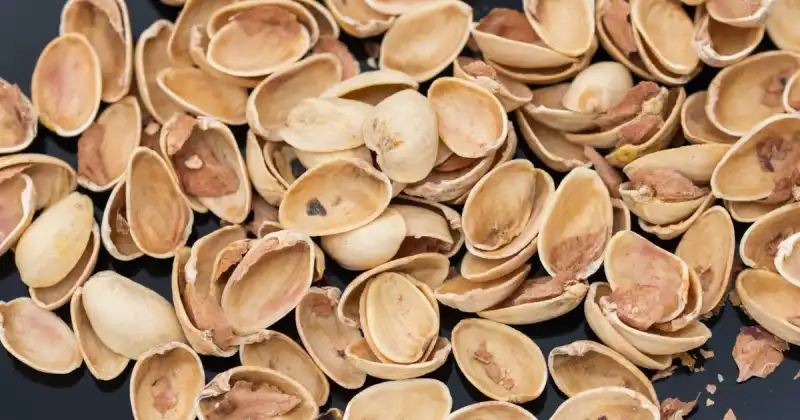 do pistachio shells biodegrade