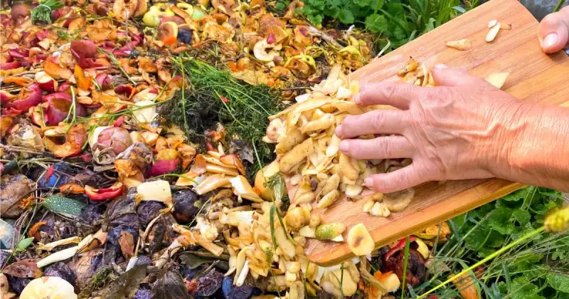 person scraping food scraps from wood cutting board into large outdoor compost pile