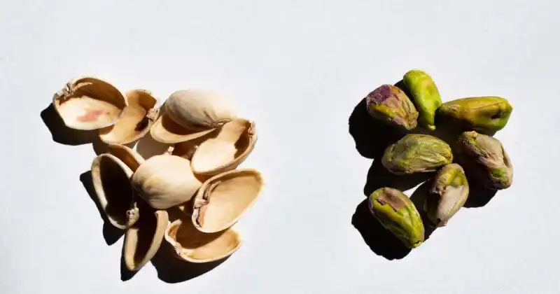 how to compost pistachio shells
