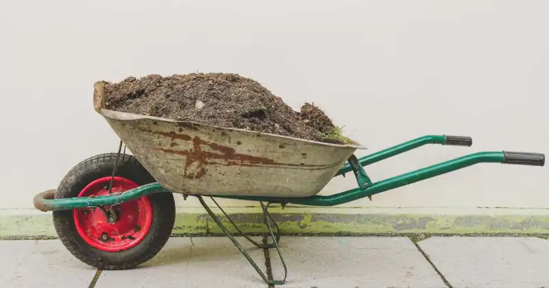 how to improve garden soil for gardening