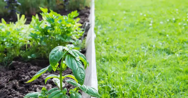 how to improve soil quality naturally