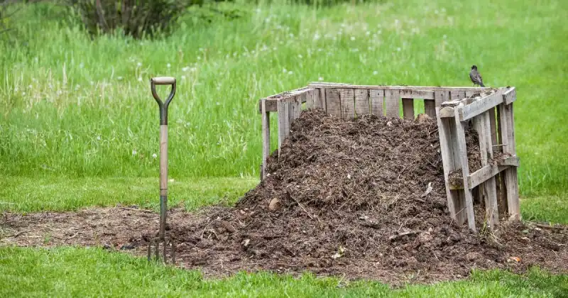 how to make compost step by step with pictures