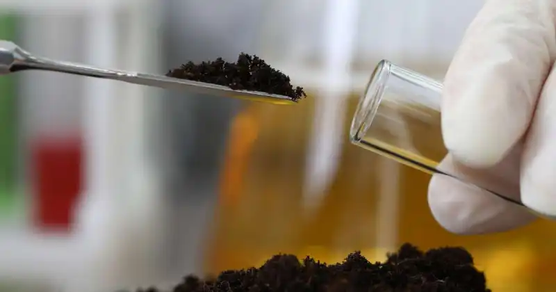 how to test your soil