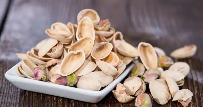 what to do with nut shells
