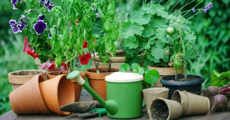various clay paper and plastic plant pots on table with green watering can with natural background
