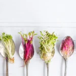 various colorful microgreens recently harvested on metal spoons on white wooden table