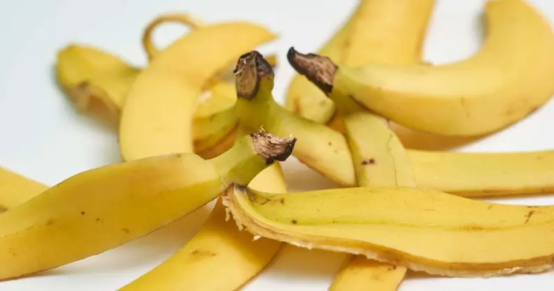 are banana peels good for compost