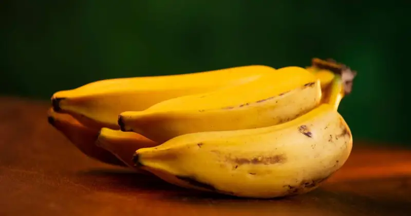 can you compost banana skins