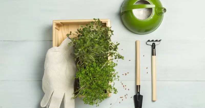 can you make money growing microgreens