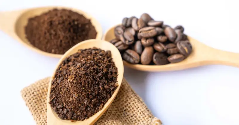 coffee grounds as plant food
