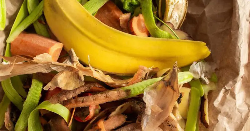 how to use banana peels for plants
