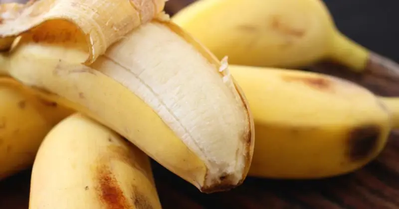 should you compost banana peels