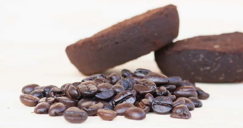 what are the disadvantages of coffee grounds as fertilizer