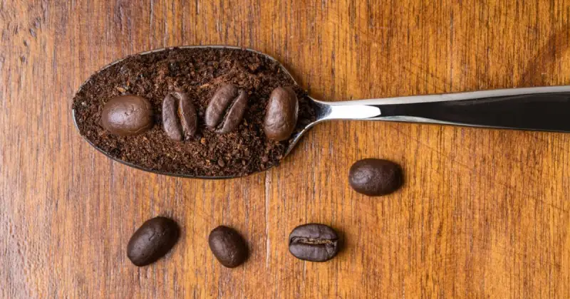 what plants benefit from coffee grounds