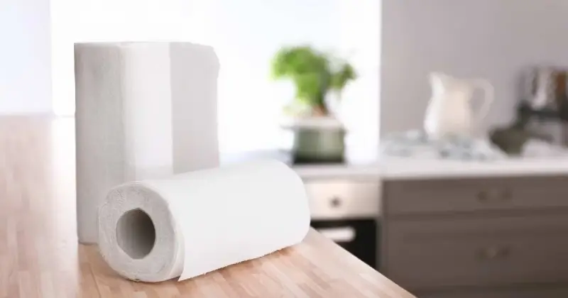 can i compost paper towels