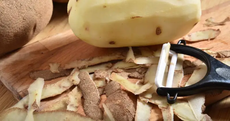 can you compost potato peels