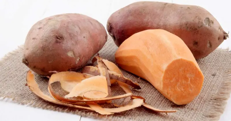 can you compost sweet potato peels
