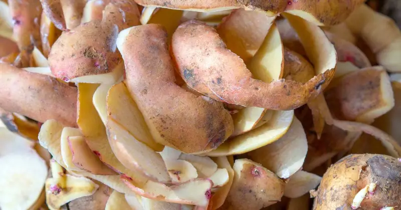 can you put potato peels in compost