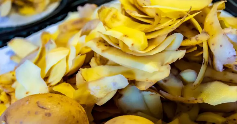 how do you compost potato peels