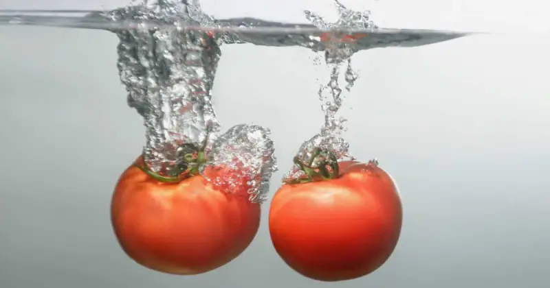 side view of two ripe tomatoes dropping into clear water with bubbles