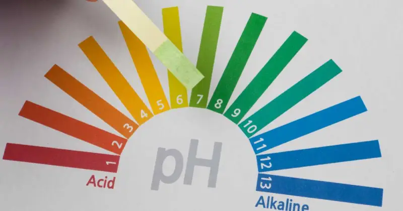 how to lower ph in hydroponics
