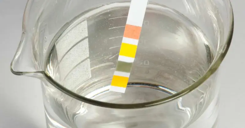 multi-colored pH test strip being submersed in solution in glass beaker for accurate test