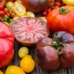 arious heirloom tomatoes in different colors shapes and sizes on wooden table
