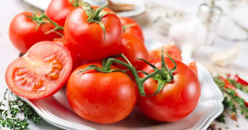 best homemade potting mix for tomatoes
