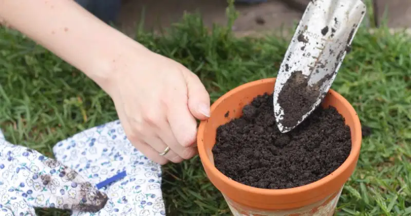 person filling small clay pot with soil with metal garden space in grass near garden gloves