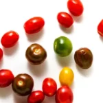 different cherry tomato varieties and colors spread out over a white background